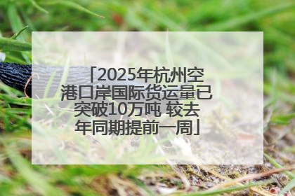 2025年杭州空港口岸国际货运量已突破10万吨 较去年同期提前一周