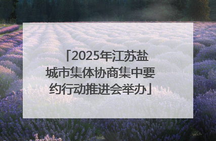 2025年江苏盐城市集体协商集中要约行动推进会举办