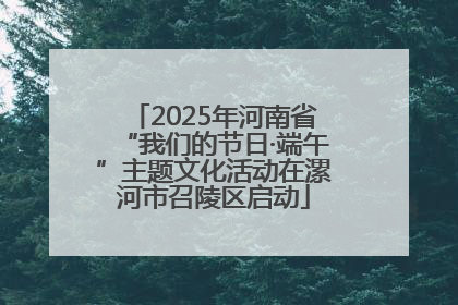 2025年河南省“我们的节日·端午”主题文化活动在漯河市召陵区启动