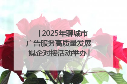 2025年聊城市广告服务高质量发展媒企对接活动举办