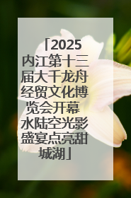 2025内江第十三届大千龙舟经贸文化博览会开幕 水陆空光影盛宴点亮甜城湖
