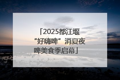 2025都江堰“好嗨啤”消夏夜啤美食季启幕