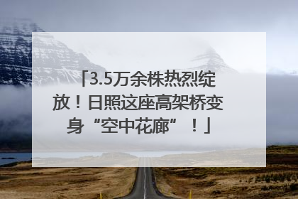 3.5万余株热烈绽放！日照这座高架桥变身“空中花廊”！