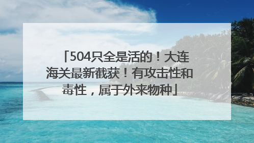 504只全是活的！大连海关最新截获！有攻击性和毒性，属于外来物种