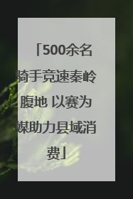 500余名骑手竞速秦岭腹地 以赛为媒助力县域消费