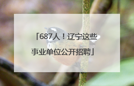 687人！辽宁这些事业单位公开招聘