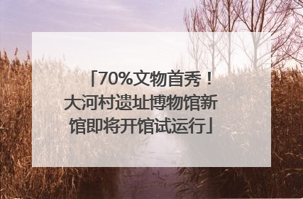 70%文物首秀！大河村遗址博物馆新馆即将开馆试运行