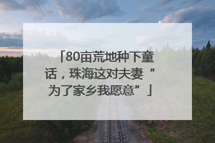 80亩荒地种下童话，珠海这对夫妻“为了家乡我愿意”