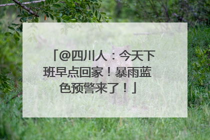 @四川人：今天下班早点回家！暴雨蓝色预警来了！