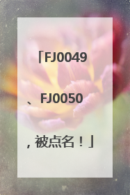FJ0049、FJ0050，被点名！