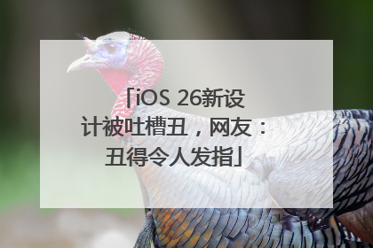 iOS 26新设计被吐槽丑，网友：丑得令人发指